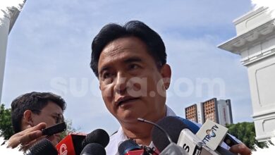 Yusril Buka Jalan Investigasi Komnas HAM, Jejak Penembak Ibu Hamil Diungkap di Papua