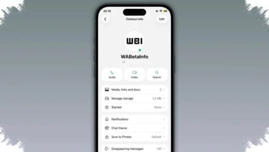 WhatsApp Uji Titik Hijau di iPhone, Cara Baru Cek Siapa yang Lagi Online