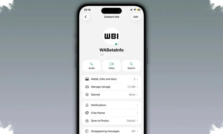WhatsApp Uji Titik Hijau di iPhone, Cara Baru Cek Siapa yang Lagi Online