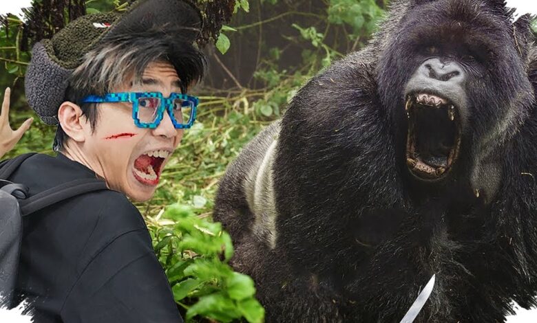 Gorila Vs Buaya, Fakta Yang Membalik Dugaan Tentang Siapa Lebih Mematikan