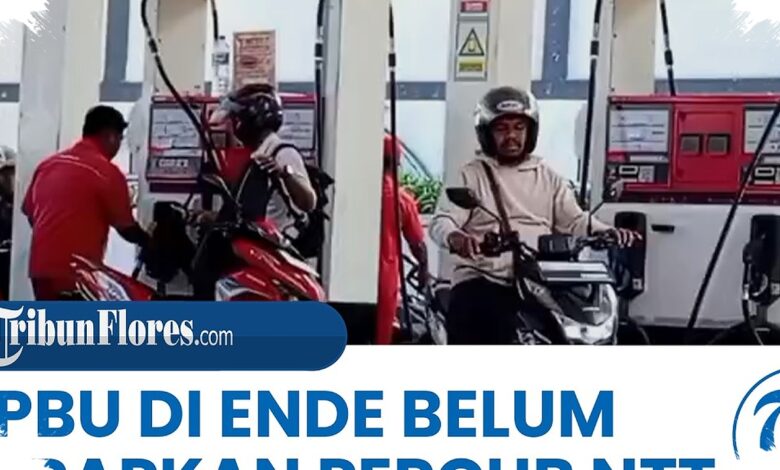 NTT Kunci BBM Subsidi Untuk Penunggak Pajak, Kendaraan Luar Daerah Juga Dilarang Isi