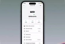 WhatsApp Uji Titik Hijau di iPhone, Cara Baru Tahu Kontak Sedang Online