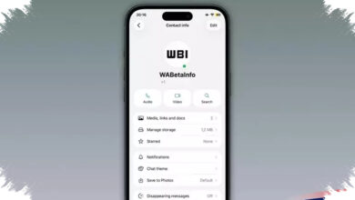 WhatsApp Uji Titik Hijau di iPhone, Cara Baru Tahu Kontak Sedang Online