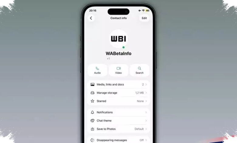 WhatsApp Uji Titik Hijau di iPhone, Cara Baru Tahu Kontak Sedang Online