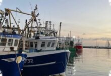 Gelombang Panas Laut Ekstrem Intai Inggris, Biota Laut Terancam Mati Massal