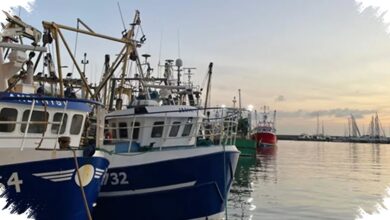 Gelombang Panas Laut Ekstrem Intai Inggris, Biota Laut Terancam Mati Massal