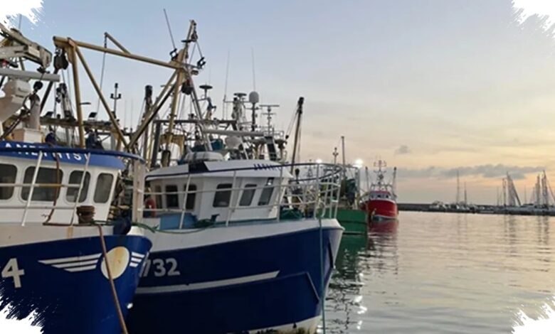 Gelombang Panas Laut Ekstrem Intai Inggris, Biota Laut Terancam Mati Massal