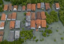 BMKG Waspadai Banjir Rob Pesisir Utara Jawa Barat, Pasang Maksimum 9–16 Juli Ancam Aktivitas Warga