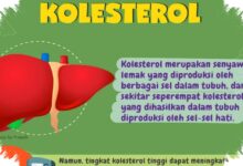 11 Mitos Kolesterol yang Sering Salah Dipahami, Ini Fakta yang Perlu Dicek