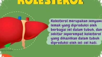 11 Mitos Kolesterol yang Sering Salah Dipahami, Ini Fakta yang Perlu Dicek