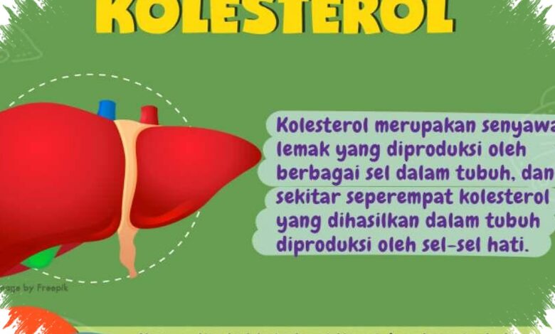11 Mitos Kolesterol yang Sering Salah Dipahami, Ini Fakta yang Perlu Dicek