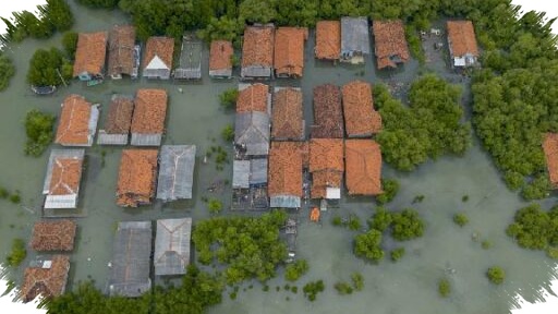 BMKG Peringatkan Banjir Rob Pesisir Utara Jawa Barat 9–16 Juli, Warga Diminta Waspada Malam Hari