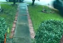 Tesla Seruduk Rumah Hingga Nenek 76 Tahun Tewas, Satu Keluarga Menuntut Jawaban