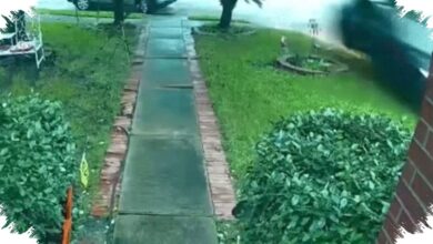 Tesla Seruduk Rumah Hingga Nenek 76 Tahun Tewas, Satu Keluarga Menuntut Jawaban