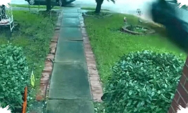 Tesla Seruduk Rumah Hingga Nenek 76 Tahun Tewas, Satu Keluarga Menuntut Jawaban