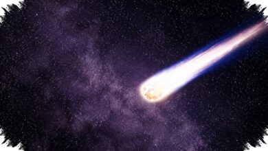 NASA Illuminate Ungkap Momen Matahari Merobek Ekor Komet Lemmon, Saksi Langsung Dari PUNCH