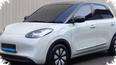 Mobil China Kian Mendominasi RI, Pangsa Pasarnya Tembus 72% di Segmen EV