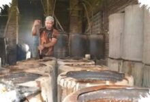 Ciu Bekonang Masuk Daftar WBTb Jawa Tengah, Ada Revisi Administrasi yang Perlu Diselesaikan
