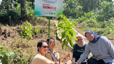 Sharp Tanam 600 Pohon Rasamala di Gunung Salak, Dorong Restorasi Hutan Elang Jawa