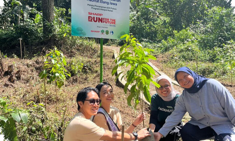 Sharp Tanam 600 Pohon Rasamala di Gunung Salak, Dorong Restorasi Hutan Elang Jawa