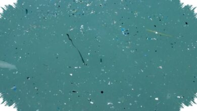 Nanoplastik Ternyata Sampai ke Antartika, Begini Jalur Tak Terlihatnya