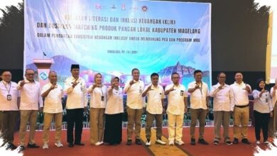 OJK Dorong Ekosistem Pangan Lokal Magelang, Akses Pembiayaan Mulai Diperkuat