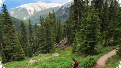 5 Manfaat Hiking untuk Kesehatan yang Sering Diremehkan