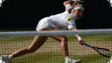 Final Ceko di Wimbledon, Dari Navratilova ke Muchova dan Noskova