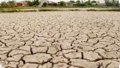 14 Kabupaten di Jateng Mulai Krisis Air, 129 Juta Liter Disiapkan untuk Warga