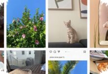 Photo Dump, Cara Gen Z Bercerita Lewat Foto yang Terlihat Apa Adanya