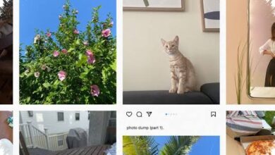 Photo Dump, Cara Gen Z Bercerita Lewat Foto yang Terlihat Apa Adanya