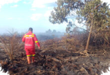7 Hektare Gambut di Rokan Hilir Terbakar, Pemadaman Terkendala Sinyal Lemah
