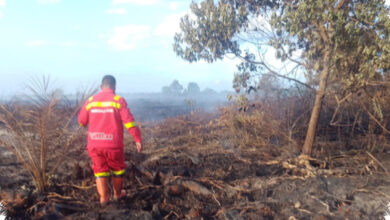 7 Hektare Gambut di Rokan Hilir Terbakar, Pemadaman Terkendala Sinyal Lemah