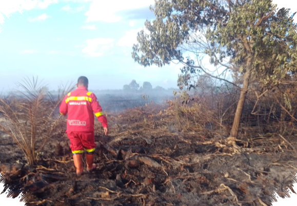 7 Hektare Gambut di Rokan Hilir Terbakar, Pemadaman Terkendala Sinyal Lemah