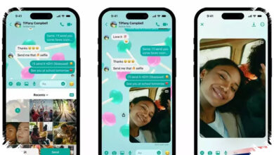 6 Trik Menjaga WhatsApp Tetap Privat, Centang Biru Bisa Disembunyikan