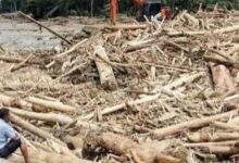 Penebangan Hutan Bikin Banjir Makin Sering, Risiko Naik Drastis di Wilayah Ini