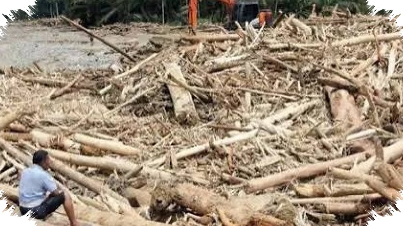 Penebangan Hutan Bikin Banjir Makin Sering, Risiko Naik Drastis di Wilayah Ini