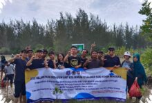 Honda Babel Tanam 500 Mangrove di Belitung, Pesan Kuat di Tengah Ancaman Abrasi