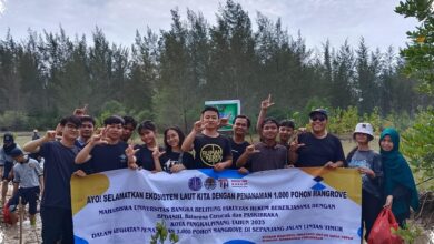 Honda Babel Tanam 500 Mangrove di Belitung, Pesan Kuat di Tengah Ancaman Abrasi