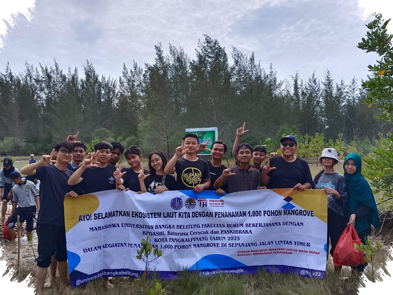 Honda Babel Tanam 500 Mangrove di Belitung, Pesan Kuat di Tengah Ancaman Abrasi