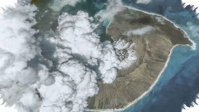 Gunung Api Bawah Laut Mayotte Ternyata Menyemburkan Magma Purba dari Awal Bumi