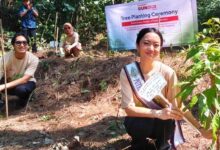 Sharp Ubah Langkah Pelari Jadi 600 Pohon, Teknologi Ini Menyentuh Habitat Elang Jawa
