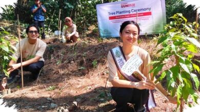 Sharp Ubah Langkah Pelari Jadi 600 Pohon, Teknologi Ini Menyentuh Habitat Elang Jawa