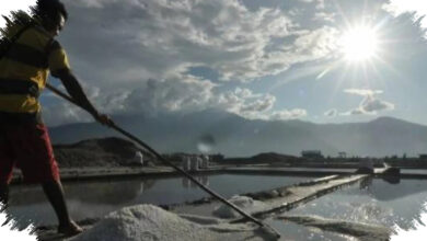 Kuota Impor Garam Industri Naik Lagi, Serapan Garam Lokal Terancam Terganggu