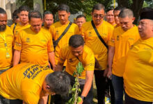 AMPG Tanam 444.444 Pohon, Gerakan Hijau yang Diklaim Bisa Selamatkan Jutaan Nyawa