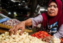 Dolar AS Naik, Harga Bawang Putih Melompat ke Rp 100.000 per Kg di Sejumlah Daerah