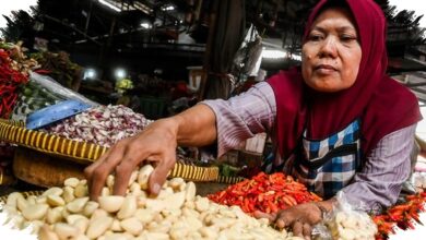 Dolar AS Naik, Harga Bawang Putih Melompat ke Rp 100.000 per Kg di Sejumlah Daerah
