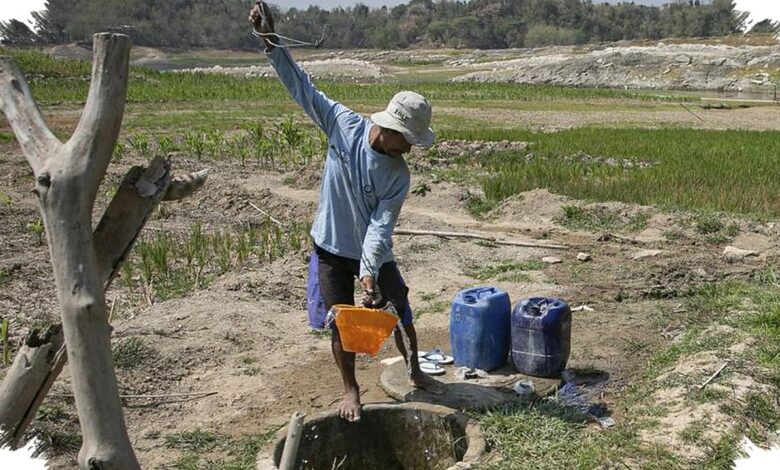 BMKG Sebut Hujan Makin Langka, Hampir 93 Persen Wilayah Masuk Kategori Rendah