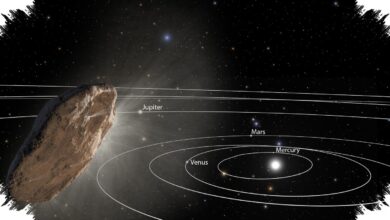 Matahari Ternyata Bisa Mengirim Komet ke Bintang Lain, Sebagian Bahkan Pulang Lagi