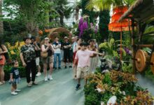 Indonesia Tampil Pertama di Gardens by the Bay, Pameran Ini Bawa 8 Wilayah ke Singapura